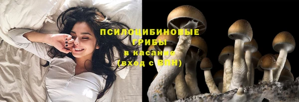 кокаин премиум Богданович