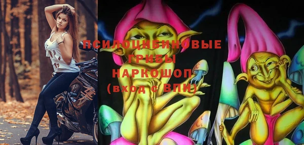 марки nbome Богородицк
